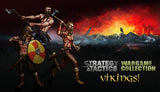 Strategy &amp; Tactics: Wargame Collection - Vikings! (DLC)