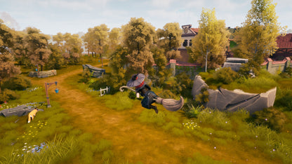 The Witch of Fern Island (Steam)