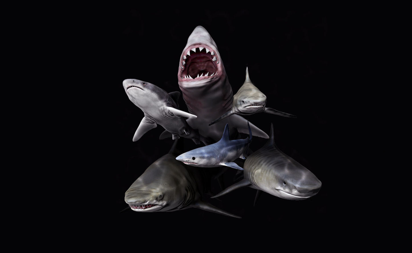 Shark Attack Deathmatch 2
