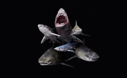 Shark Attack Deathmatch 2