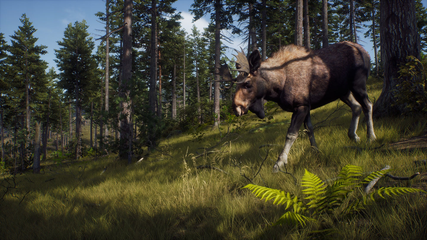 Way of the Hunter (Elite Edition) (Steam)