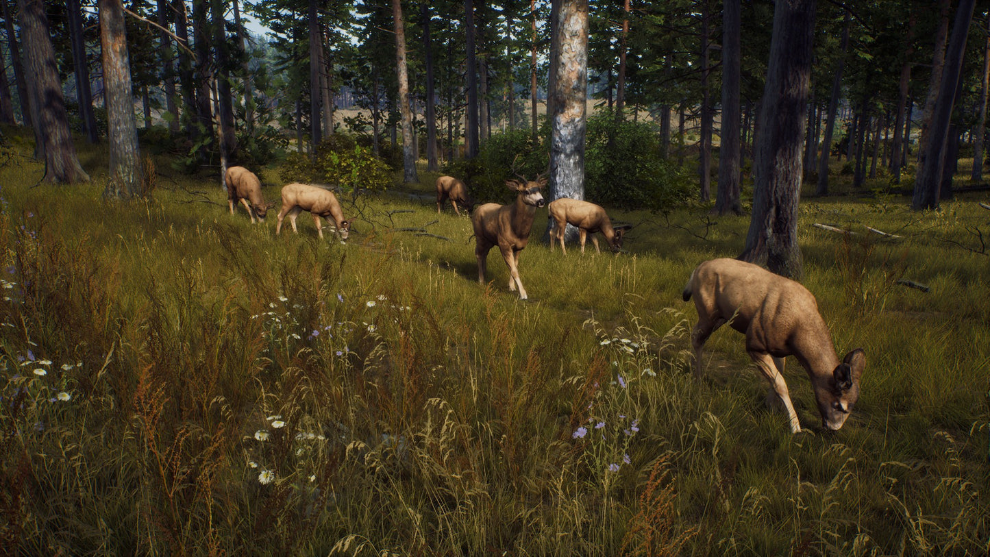 Way of the Hunter (Elite Edition) (Steam)