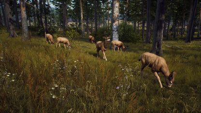 Way of the Hunter (Elite Edition) (Steam)