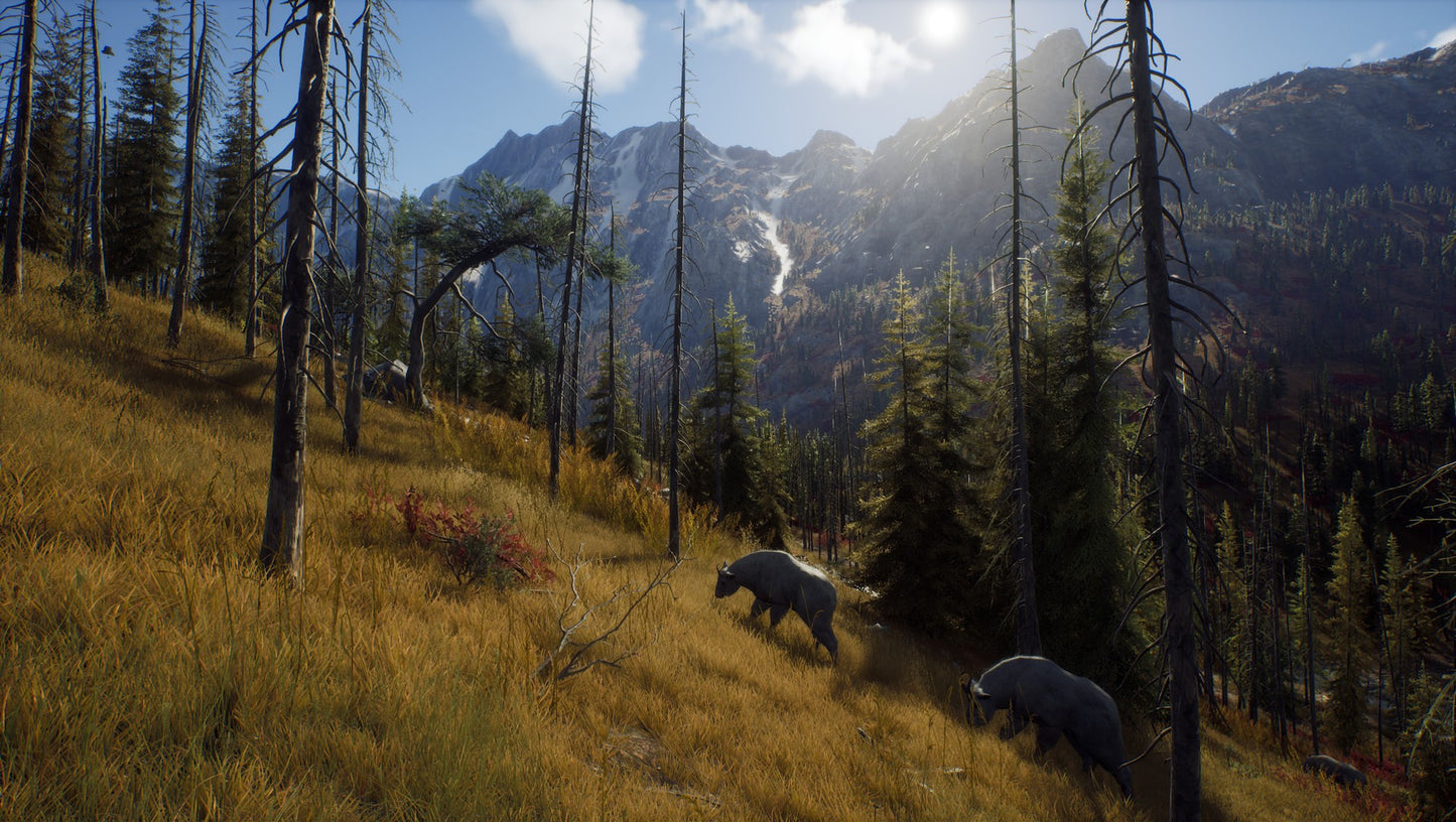 Way of the Hunter (Steam)