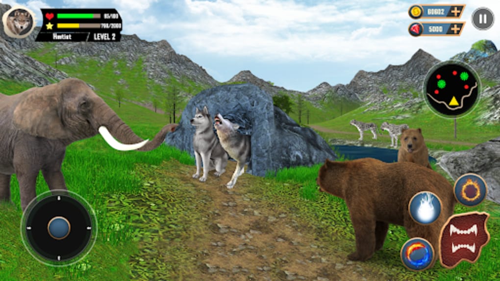 Wild Wolf