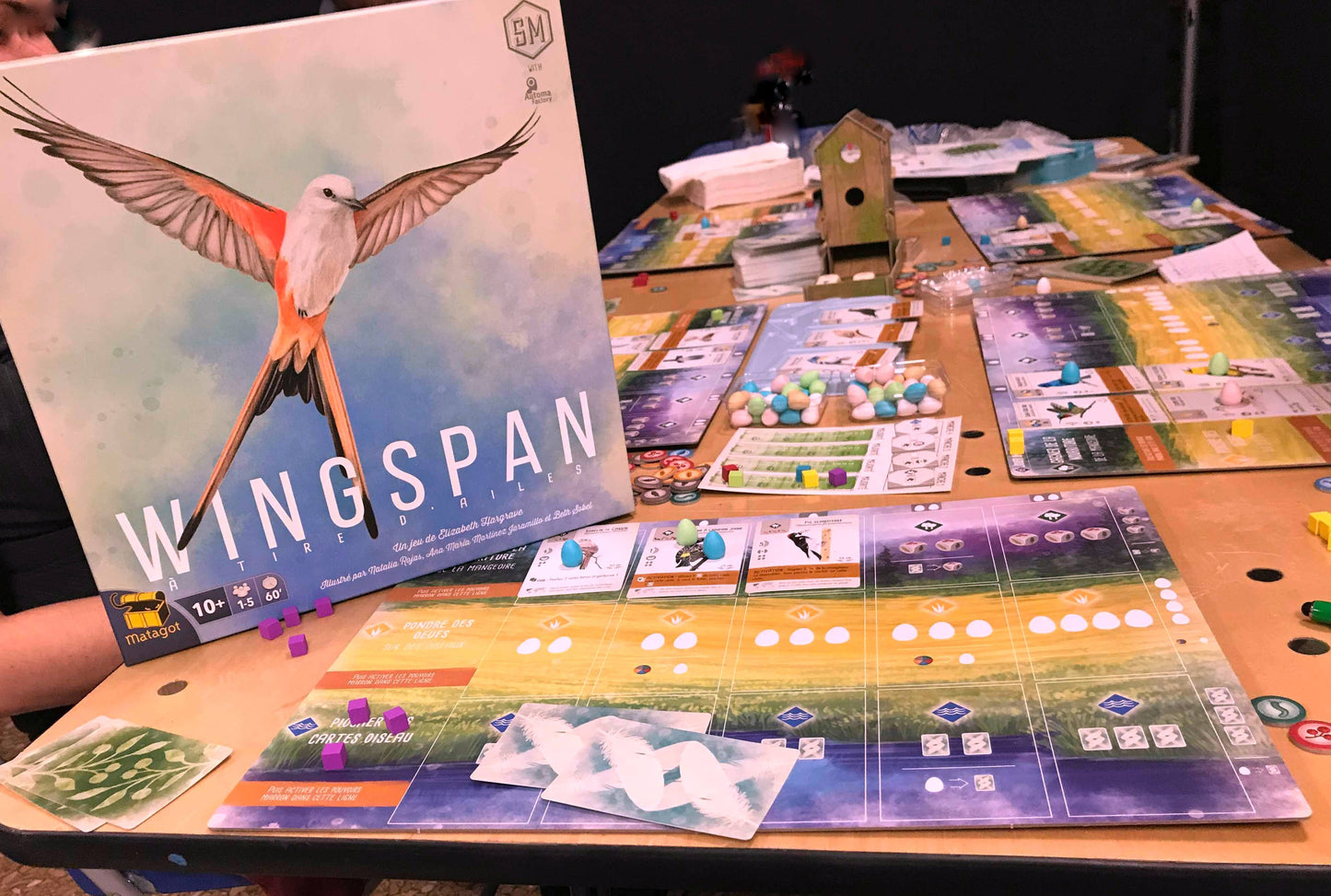 Wingspan