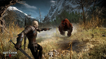 The Witcher 3: Wild Hunt - Expansion Pass (DLC)