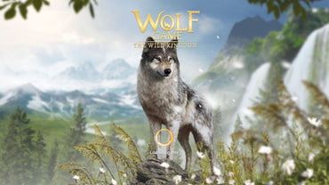 Wild Wolf