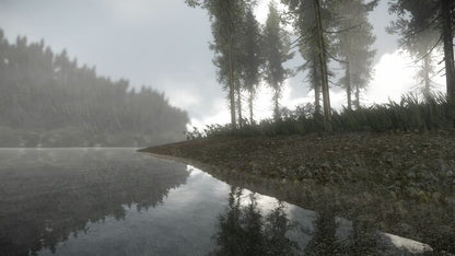 Reflecting Fate